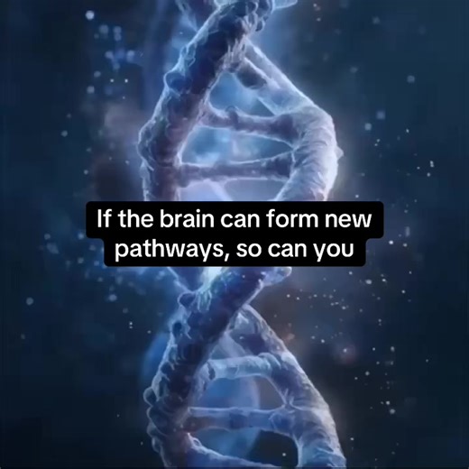 Understanding Brain Plasticity and Mindset Development