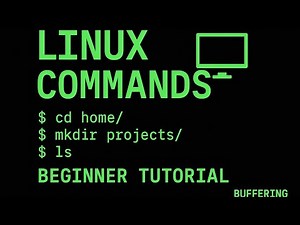 Your First Linux Commands Explained Simply.