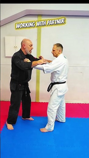 Karate Joint Locks #karate