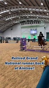 12K views · 1K reactions | More of this next week at the @retraining_of_racehorses National Championships  This was last year’s event at Aintree Equestrian Centre  #horseracing #horsesofinstagram | The Jockey Club | Facebook