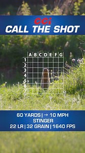 Time to show us what you've got! We've got a prairie dog and a grid, all you need is a steady hand and some CCI. Drop a comment with the square you'd aim for and why. #CCIAmmo | CCI