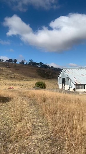 Exploring an Abandoned Abattoir in Australia