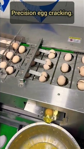 Watching This High Speed Egg Cracking Machine Is Very Satisfying