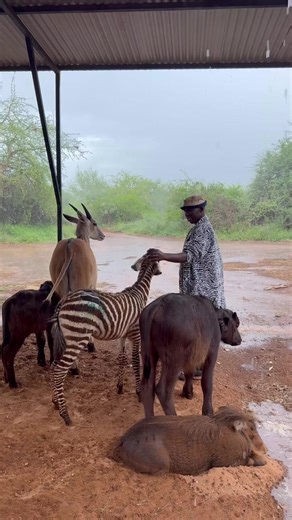 Some of us are fair weather friends. @WonderQsafaris