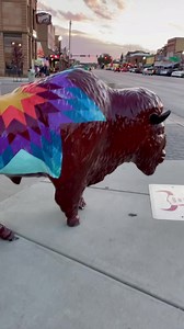 14K views · 238 reactions | We know you all love Custer State Park, but have you been to the town of Custer just outside the park? Founded back in 1875, this charming town has unique shopping and dining options when you need a short break from all the incredible outdoor adventures that are just minutes away. #custersd #blackhills #custerstatepark | Matt and Karen Smith | Facebook