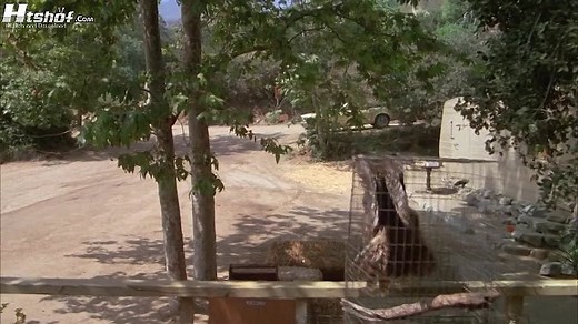 White.Dog.1982.720p.BluRay.x264 Htshof.Com.Maspero