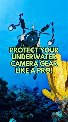 8.7K views · 107 reactions |  How I clean my underwater photography...