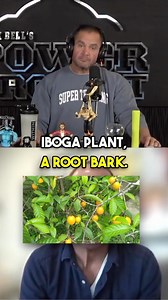 26K views · 478 reactions | This is why we use ibogaine vs. iboga at...
