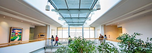 Business and Management