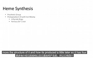 血红素heme合成途径