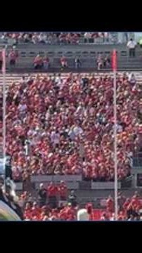 TBDBITL takes the field