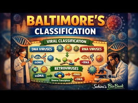 Baltimore's Classification | Botany | Microbiology | CCFUP-NEP