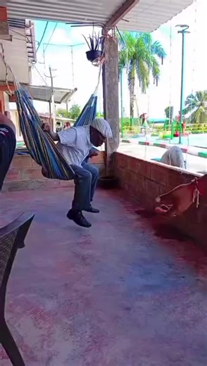 Bailando 2023: La Fiesta que No Te Puedes Perder