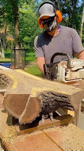 Triple Crotch Walnut Log Turned Into Live Edge Slabs with a Chainsaw Mill!