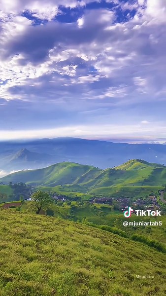 Taman langit disaat weekday. 🌞 #bandung #ciwidey #pengalengan #jawabarat #tamanlangit #kebunteh #healing #bogor