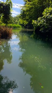 Exploring in search of Springs. | Florida Panhandle Springs and Fossils