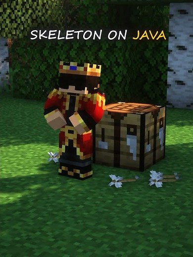Skeleton on Java VS Skeleton on Bugrock 💀