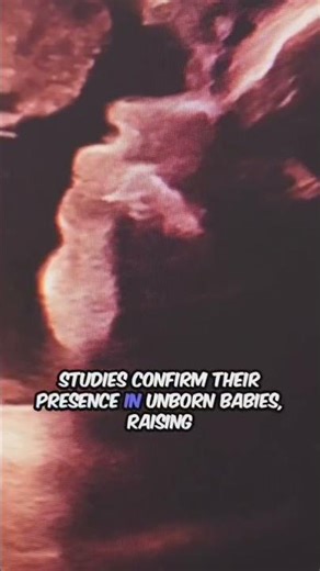 Plastics in Wombs?! Shocking Truth #weirdfacts #plastic