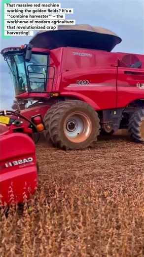 Combine Harvester: Complete Educational Guide