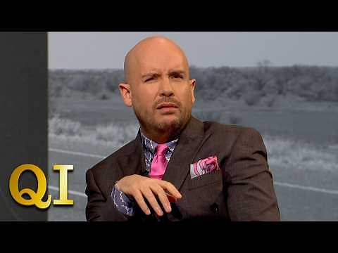 How Can A Cow Help You Get Away With Murder? | QI