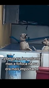 20K views · 614 reactions | . . . . . #charity #tuesday | Humor-Engraçado | Facebook