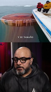 371K views · 10K reactions | La medusa más grande del mundo | Top Mystery Stories | Facebook
