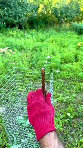 5.2K views · 14 reactions | Beautiful Gardening Tip | Lady Panda | Facebook