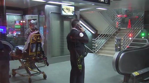 Woman set on fire during argument on Chicago train, police say