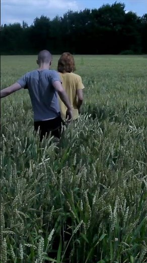 Like Cattle Towards Glow - Dekkoo - Vertical Clip #Shorts