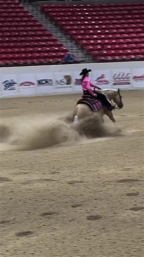 The Excitement of Reining Horses