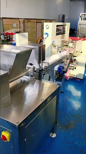 Butter Extruder Packing Machine | High-Viscosity Food Automatic Extrusion & Sealing Line