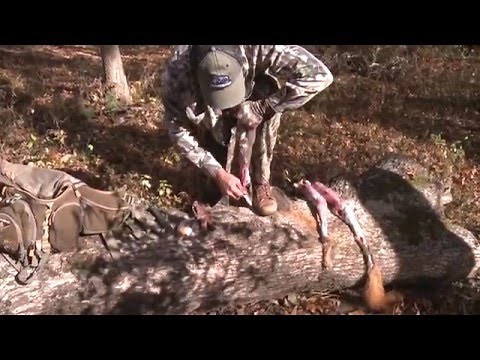 Clean a squirrel FAST!!