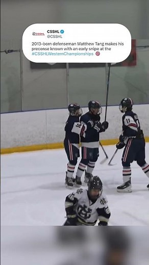 Matthew Tang Roofs It 🎯