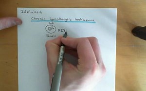 【PI3K/AKT/mTOR信号通路与肿瘤】The PI3K/AKT/mTOR Pathway and Cancer Part 7