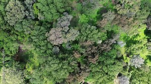 Mazes are special and more so taken with a drone. But this human maze is out of this planet. An incredible aerial shot.