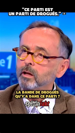 "Rima Hassan est un danger pour le pays."