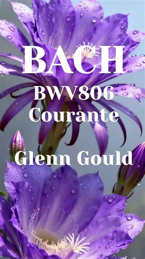 Glenn Gould BWV806 Courante