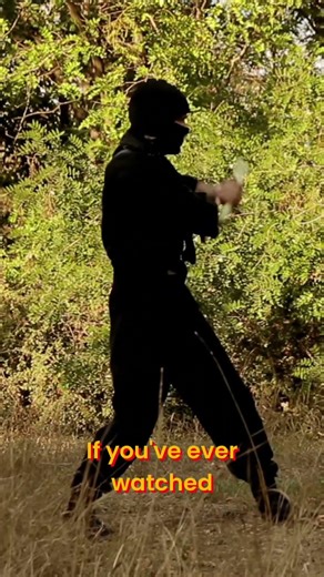 Japan's HIDDEN Ninja Gems: Iga & Wakayama Adventures! #shorts