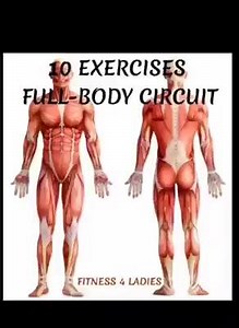 10 Exercises Full-Body Circuit | The Bodybuilding Nation
