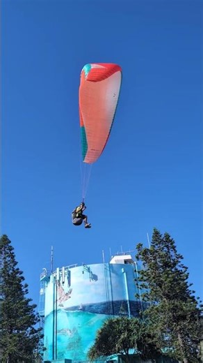 Paragliding Point Cartwright: The Best View on the Sunshine Coast