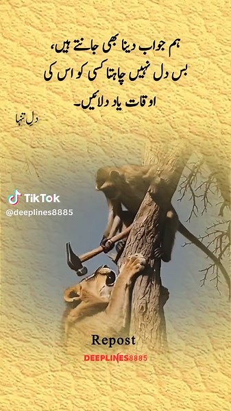 The Power of Urdu Poetry: A Deep Emotional Connection