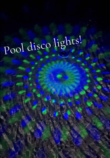 Solar Powered Floating Lights for Pool Parties