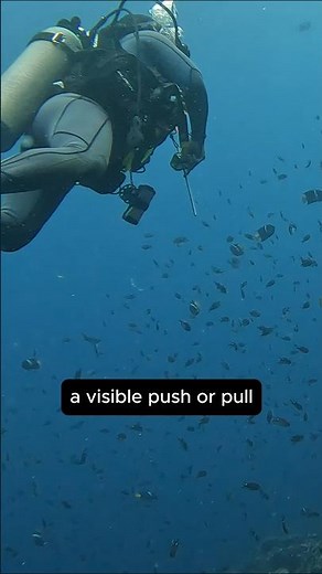 Ocean Currents You Can See Underwater