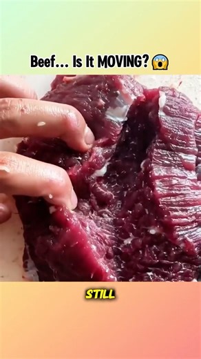 Why Does Beef Twitch Even After the Animal Is Dead? #shorts #beef #fresh #yummy #mystery