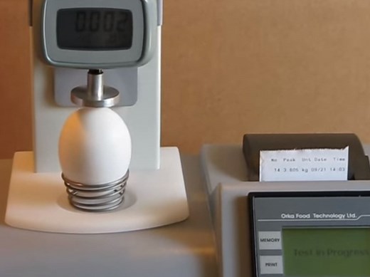 Egg Force Reader – Measure the force needed to crack your eggshells
