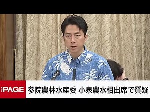 【国会中継】参院農林水産委員会 小泉農水相出席で質疑（2025年6月3日）