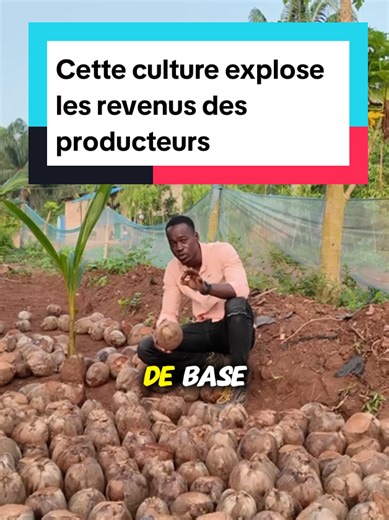 Comment investir dans la culture du cocotier et se positionner sur le marché de la demande ? Investir dans la culture du Cocotier peut être très rentable… à condition d’avoir une vraie stratégie marché : Avant de planter, pose-toi ces questions : 1- La demande locale existe-t-elle ? Noix fraîches, huile, coco râpé, eau de coco… identifie le produit le plus recherché dans ta zone. 2- Quel segment viser ? Vente directe au marché, grossistes, transformation artisanale ou industrielle ? Ton position