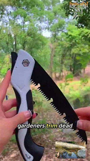 How Folding Pruning Saws Cut Tree Branches Without Tearing Bark