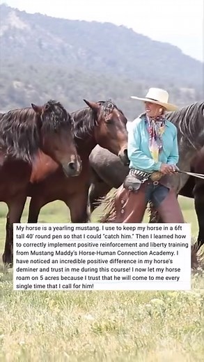 4.9K views · 1.3K reactions | How Maddy went from bucking, bolting,...