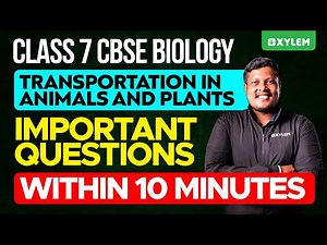 Class 7 CBSE Biology | Chapter - Transportation In Animals and Plants | Xylem Class 7 CBSE